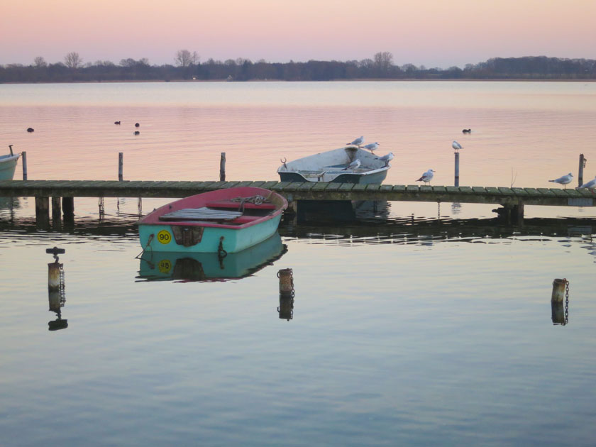 Foto eines Sees im Morgengrauen. Zu sehen ist ein Bootssteg, der über linken und rechten Bildrand hinaus reicht. Am Steg liegen zwei Ruderboote. Im Hintergrund sind Wasservögel zu sehen. Am Horizont ist das andere Ufer leicht verschwommen sichtbar.
